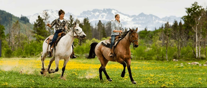 Confident plus-size woman riding Essex a horse through a field with a smile on her face.
